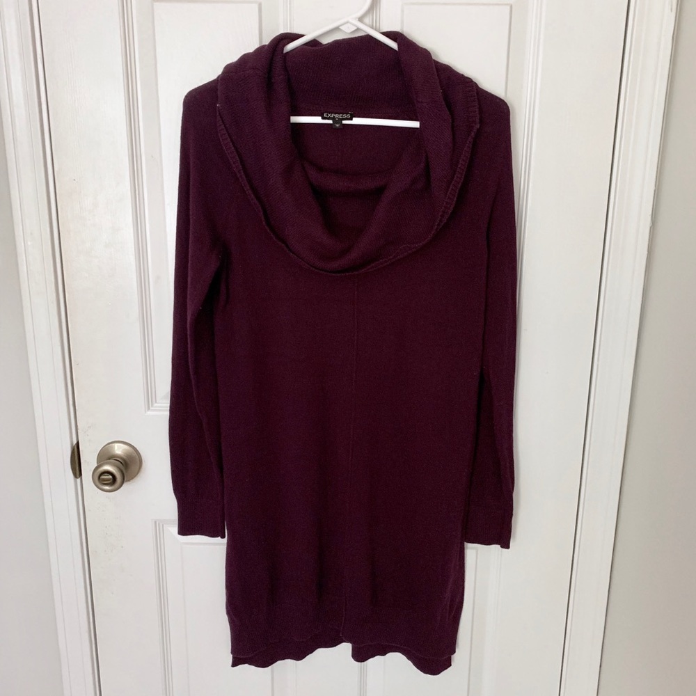 Express Cowl Neck Sweater Dress